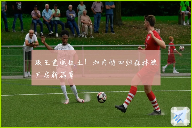 狼王重返故土！加内特回归森林狼开启新篇章