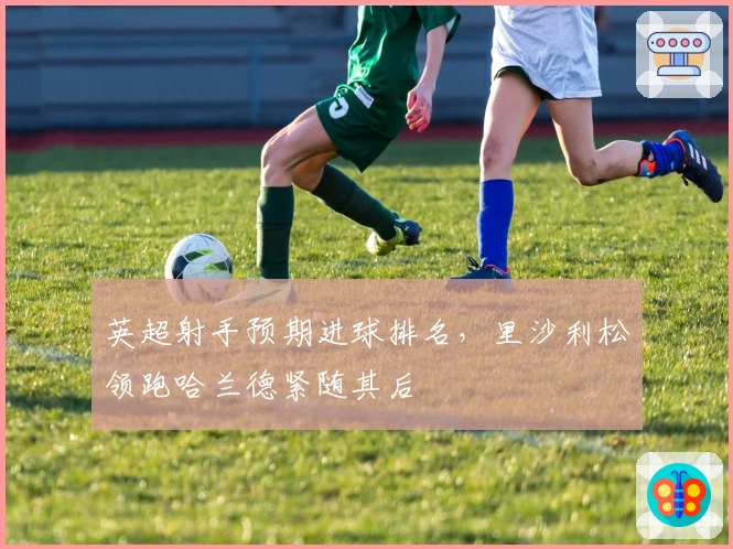 英超射手预期进球排名，里沙利松领跑哈兰德紧随其后