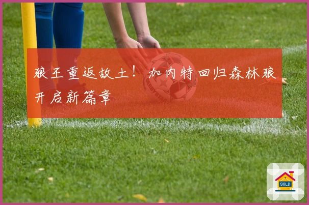 狼王重返故土！加内特回归森林狼开启新篇章